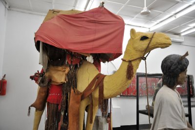 Camel bearing litter for women from Beni Amer in the Kassala area, Eastern Region