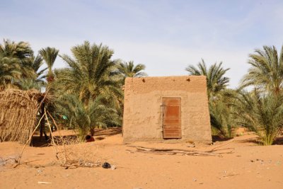Small hut among the palms on the east bank of the Nile near the Old Dongola Ferry