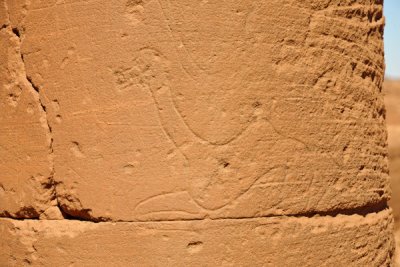 Graffiti carving of a camel, Musawwarat