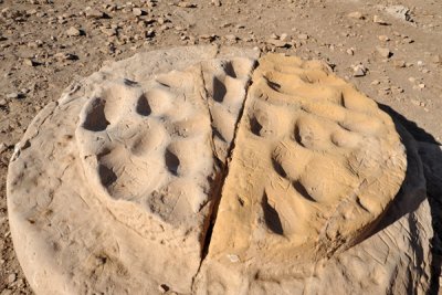 Pitted base of a column, Temple of Sesibi