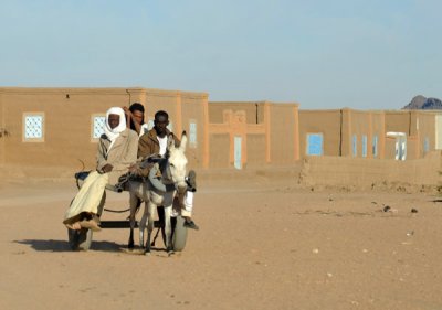 Donkey cart, Nubian village of Soleb