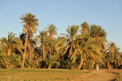 Life along the Nile, Soleb