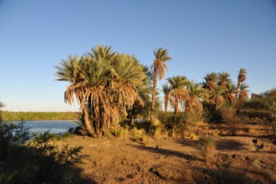 Banks of the Nile at Soleb