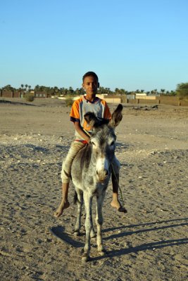 Nubian boy on a donkey, Soleb