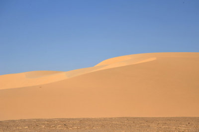 g3/93/329493/3/120834845.gN5GPJpI.jpg