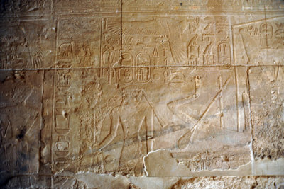 g3/93/329493/3/120837613.izyWLL7C.jpg