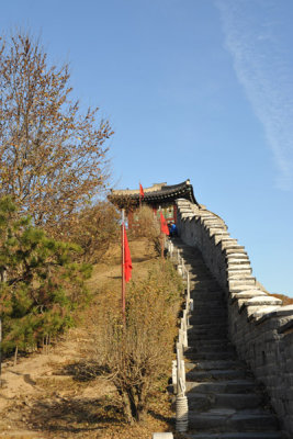 g3/93/329493/3/121056586.sgbLGo3s.jpg
