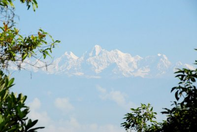 g3/93/329493/3/121064888.fVYnRxeI.jpg