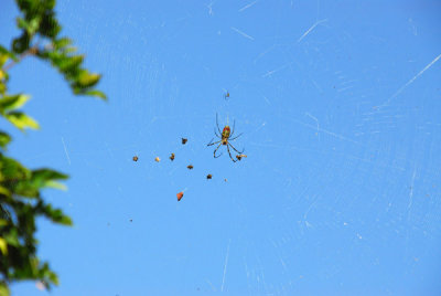 g3/93/329493/3/121064900.sqjNP1Ld.jpg