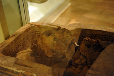 Ancient Egyptian Mummy