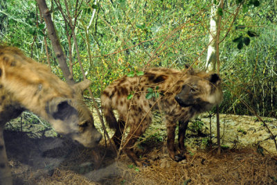 g3/93/329493/3/121873331.oeFhhNA5.jpg