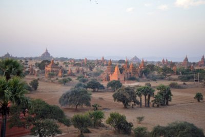 Treetop level over the Central Plains of Bagan