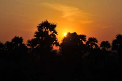 Bagan sunrise, treetop level flight