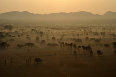 Early morning mist with the palm studded plains to the east of New Bagan