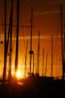 g3/93/329493/3/122230884.zr4H5A7i.jpg