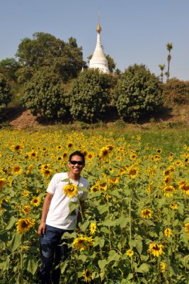 Field of Flowers, Inwa