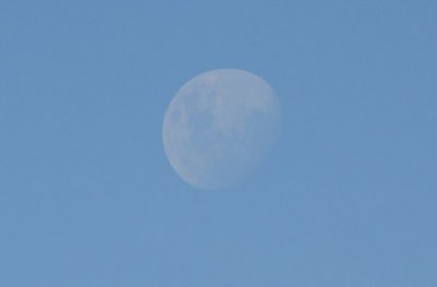 g3/93/329493/3/124399152.5QPjo8hL.jpg