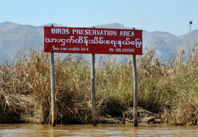 Birds Preservation Area, Nyang Shwe - You can watch bird