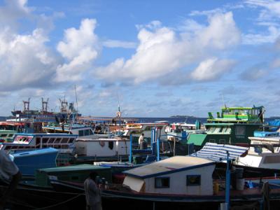 Fishing harbor on the north side of Male
