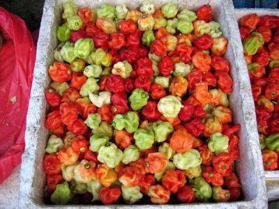 Hot stuff, Vegetable Market, Male