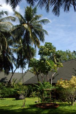 g3/93/329493/3/53860181.MaldivesNov051169.jpg