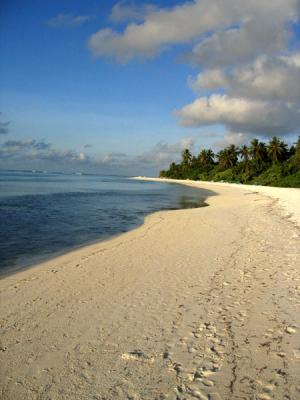 g3/93/329493/3/53879673.MaldivesNov05181.jpg