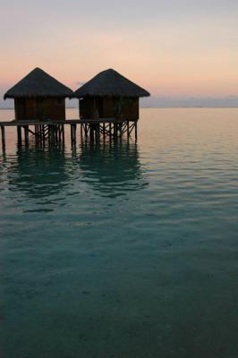 g3/93/329493/3/53879690.MaldivesNov05232.jpg