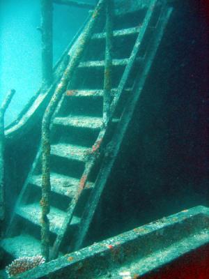 g3/93/329493/3/53887016.MaldivesNov05617.jpg