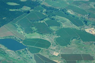 Commercial agriculture, Kenya