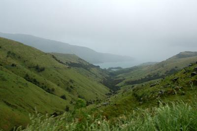 g3/93/329493/3/55088496.SydChcNov05844.jpg