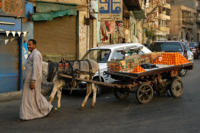 Orange vendor's donkey cart, Nabweia Street