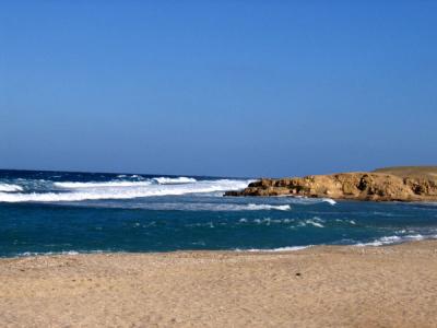 g3/93/329493/3/55908225.RedSeaJan06685.jpg