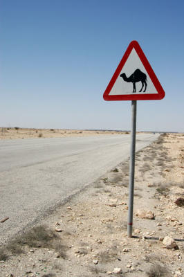 Al Zubara Road, Qatar