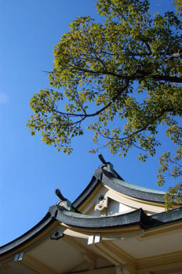 g3/93/329493/3/56971372.KobeDec05104.jpg