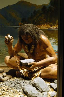 Early Maoris