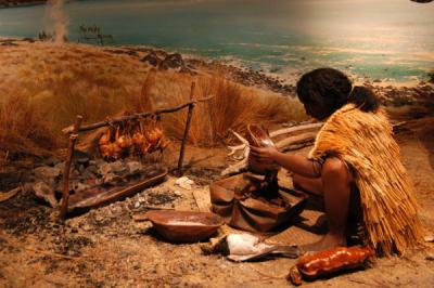Maori Gallery - Panau, a post-moa hunting period settlement