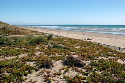 The beach at New Brighton South