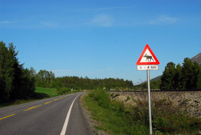 Norwegian moose crossing sign along E136