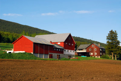 Red farm buildings, Oppland
