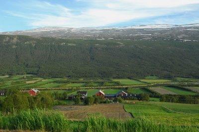 Cultivated valley below route E136, Oppland