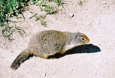 g3/93/329493/3/87749970.9puRqMUL.jpg