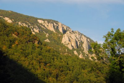 g3/93/329493/3/88066237.gzeEaVwI.jpg