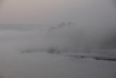 Early morning mist, Rapti River, Chitwan Nationaln Park