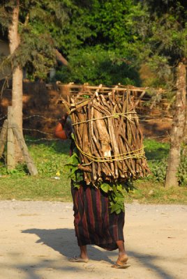 Woman carrying a large bundle of fire wood