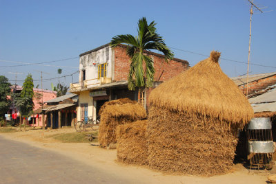Rice stacks along the main road to Sauraha