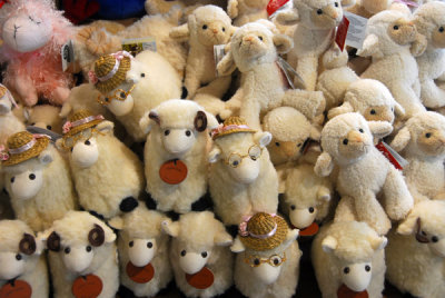 Stuffed sheep toys, The Wrinkly Rams, Omarama