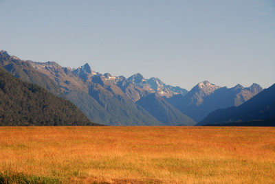 Elington Valley, Fiordland National Park