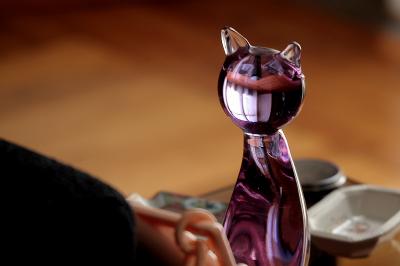 accidental Cheshire glass cat