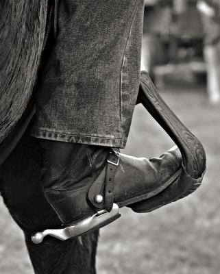 g3/93/348593/3/57582692.stirrup.jpg