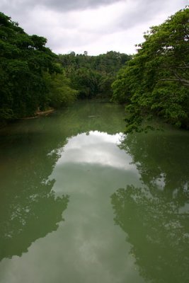 View from the hanging bridge